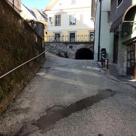 Old Town Wall - Apartment Radovljica